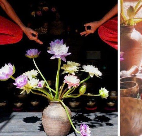 Experiences in Yên 3