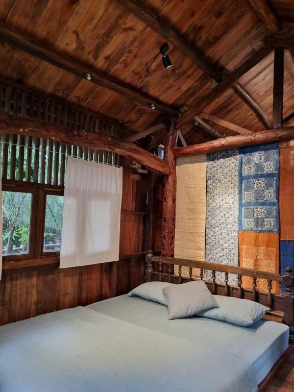 Cỏ — Studio 5